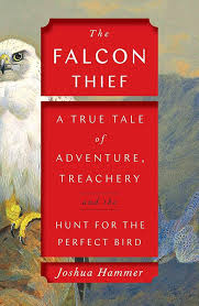 The Falcon Theif